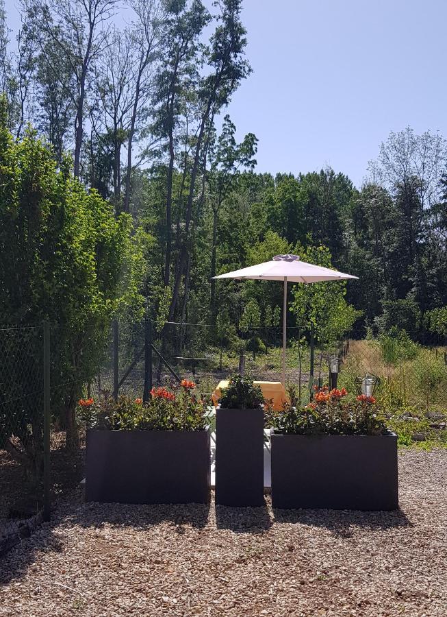 Agreable Petite Maison Proche Joigny Chamvres Dış mekan fotoğraf